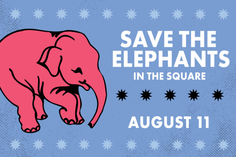 Save the Elephants in the Square for World Elephant Day